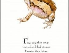pa TonyOliver FrogsSingSongs 14a. , 