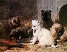 Eerelman Otto Five little pupies Sun. Eerelman, 