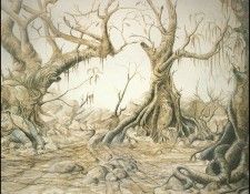 lrsBaseGraeme Waterhole11Gone. ����, ����