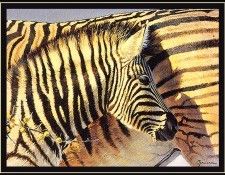 bs-na- Shirley Greene- Etosha Spring. , 