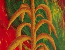 23465. Biedma, ����� �����