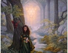 cath-x. ������, �������� ����