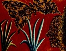 23434. Biedma, ����� �����