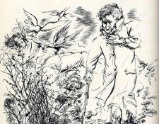 art 339. �����, ������