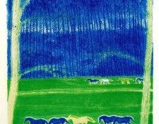 46488. Brasilier, �����