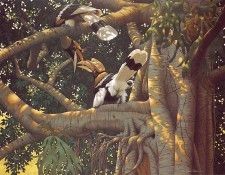 lrs Sloan Ric A Little Romance. �����, ������