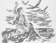 am chapter44. , 