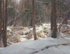 Parnell Forest 24x24. Gerhatz,  F