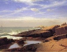 05195. Haseltine, ������ ������