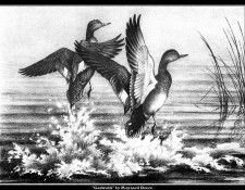 cr MaynardReece024. ���, �������