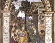 PINTURICCHIO Adoration Of The Christ Child. 