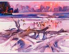 bs-ahp- Robert E Wood- Driftwood And Magic Reflections. ,  E