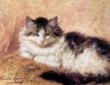 Ronner-Knip Henritte Dozing Cat Sun . Ronner-Knip, 