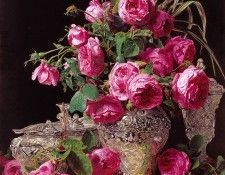 Rosen. (1843). ����������� ��������� �����