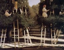 Koch Pyke The harvest Sun. ���, ����