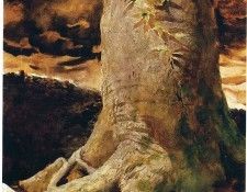 File8982. Wyeth, ������