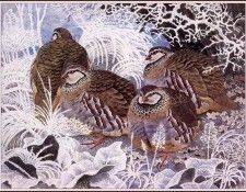 43635. Tunnicliffe, ������