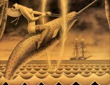 kb Delamare Narwhal The Salt Mermaid. , 