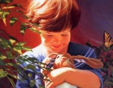 Donna Green - The Velveteen Rabbit 12, De. , 