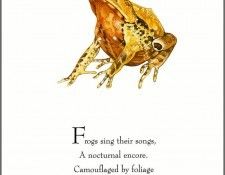 pa TonyOliver FrogsSingSongs 05a. ������, ����