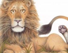 Bayley, Nicola - 06 (end. �����, ������