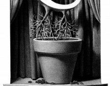 Z 021 The U was Abruptly Uprooted ChrisVanAllsburg sqs. Allsburg,  