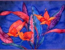 bs-flo- Sara Steele- Sophrolaeliocattleya Redzac Carteria- Flame. , 