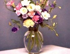 Lisianthus. Gjertson, ������