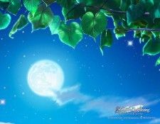 kagaya 060. �����, Joh