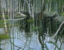 Image 896. ��������, ���