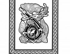 xlr8 cd53. �����, ������