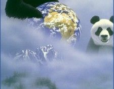 am The Final Few. Schimmel, ������