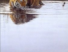 DanielSmith PrimalInstinct ec. ����, �������