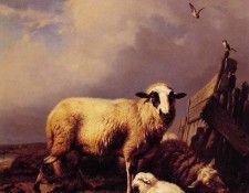 Guarding the Lamb. Verboeckhoven,  