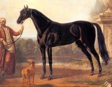 John Wootton - The Byerley Turk, De. , 