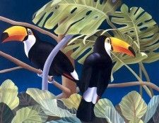s4-vanishingspecies032-tocotoucan. , L