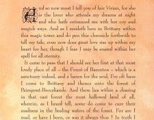 xlr8 mbm 22. �����, ������ � ����� Garland