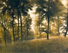 07024. Hammershoi, ���������
