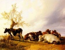 Cooper Thomas Sidney Dairy Cows Resting. ����� ����� ������