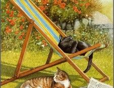 pa ChrissieSnelling Cats 04. , 