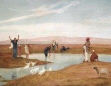 DRIVING DUCKS. ������, ��������