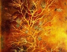 11542. Varo, ��������