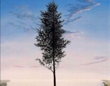 26956. , 