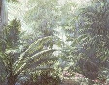 Hanks Steve Botanical Gardens. , 