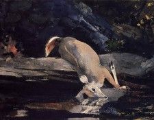 Homer Winslow Fallen Deer. , 