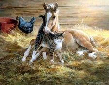 horses in the mist csg004 new friends. ������, ����� �������