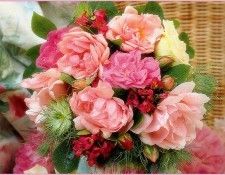 pa SimonKayne BeautifulFlorals 11. Kayne, 