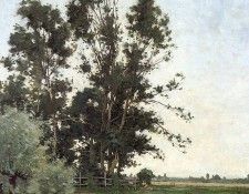 Bodifee Johannes Landscape with trees Sun . Bodifee, ��������