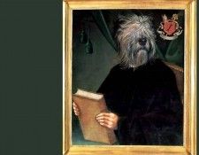 dog portraits csg044 nils andersen. �������, ������