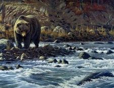 Wilhelm Goebel - SK Wildlife Federation Card-Bear, De. , 